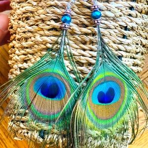 I live where there are wild peacocks and the feathers have been falling lately.